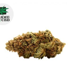 Fleur Mango CBD Indoor 14.5% - La Ferme du CBD