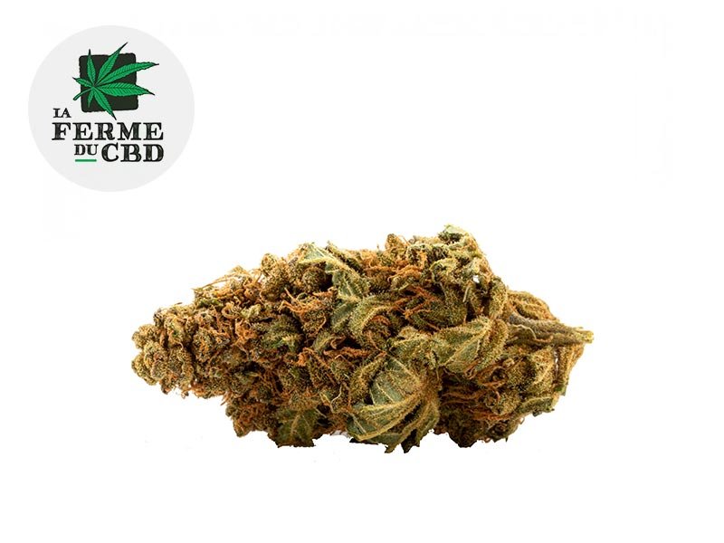 Fleur Mango CBD Indoor 14.5% - La Ferme du CBD