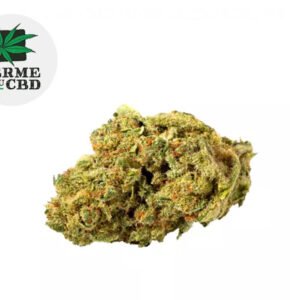 Fleur Pistachio CBD Indoor 13% - La Ferme du CBD