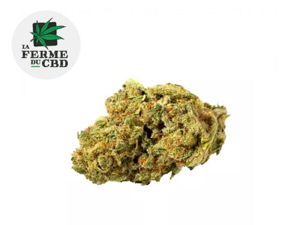 Fleur Pistachio CBD Indoor 13% - La Ferme du CBD