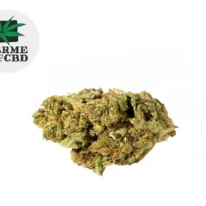 Fleur Chocolate Chip Cookie CBD Indoor 14% - La Ferme du CBD