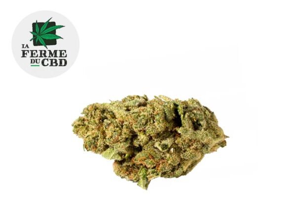 Fleur Chocolate Chip Cookie CBD Indoor 14% - La Ferme du CBD