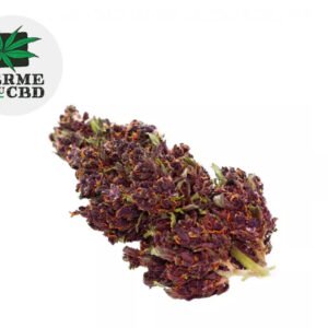 Fleur Purple Haze CBD Outdoor 13% - La Ferme du CBD