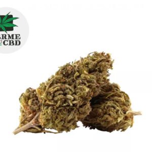 Fleur Mobydick CBD Outdoor 15% - La Ferme du CBD