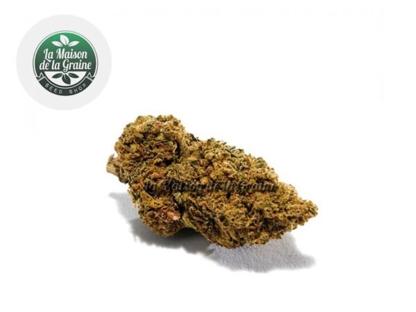 Fleur Gorilla Glue CBD Indoor 14% - La Maison De La Graine