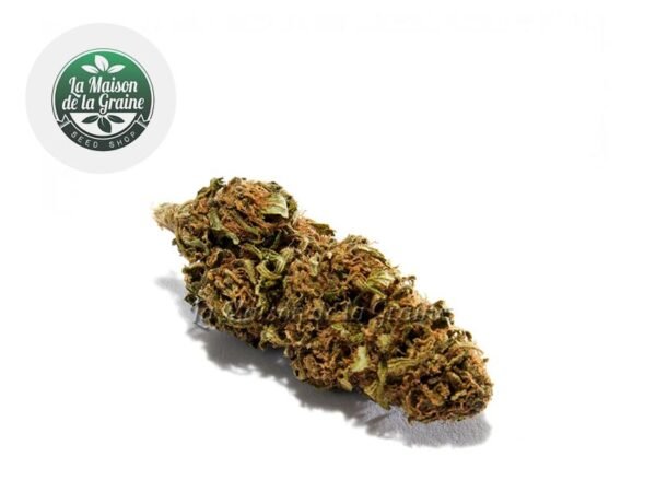 Fleur Blue Dream CBD Indoor 15% - La Maison De La Graine