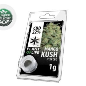 Résine Mango Kush CBD 22% - Plantoflife