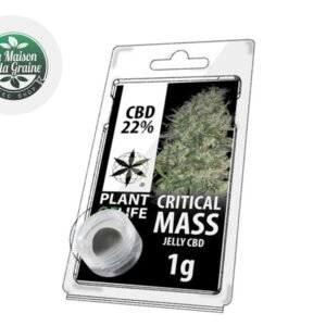 Résine Critical Mass CBD 22% - Plantoflife