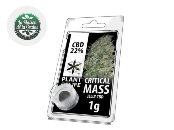 Résine Critical Mass CBD 22% - Plantoflife