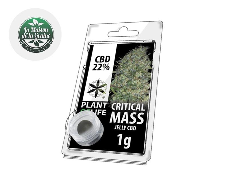 Résine Critical Mass CBD 22% - Plantoflife