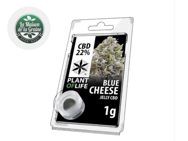 Résine Blue Cheese CBD 22% - Plantoflife