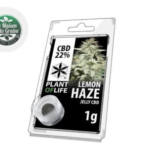 Résine Lemon Haze CBD 22% - Plantoflife