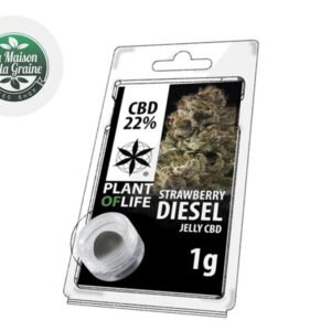 Résine Strawberry CBD 22% - Plantoflife