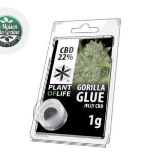 Résine Gorilla Glue CBD 22% - Plantoflife