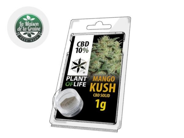 Pollen Mango Kush CBD 10% - Plantoflife