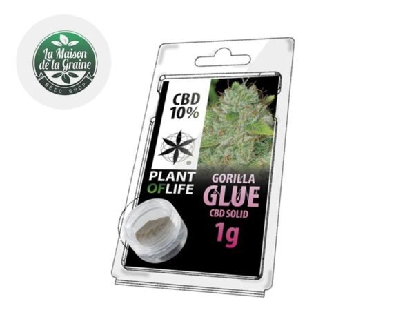 Pollen Gorilla Glue CBD 10% - Plantoflife