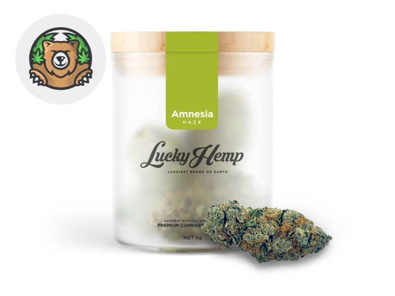 Fleur Amnesia Haze CBG Indoor 9% - Lucky Hemp