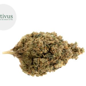 Fleur Jack Herer CBD Indoor 4.5% - Nativus