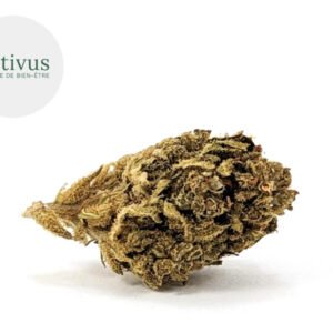 Fleur Mango CBD Greenhouse 4.3% - Nativus