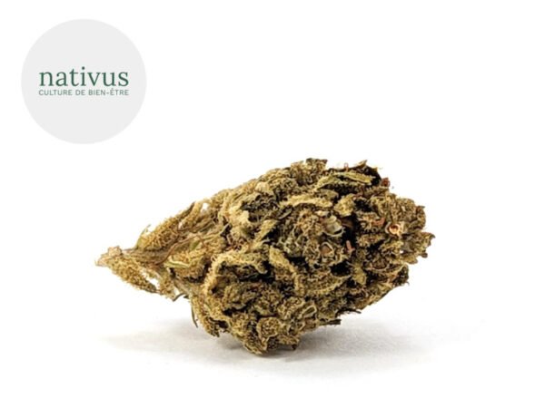 Fleur Mango CBD Greenhouse 4.3% - Nativus