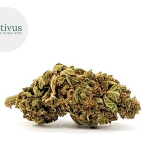 Fleur Cheese CBD Greenhouse 4% - Nativus