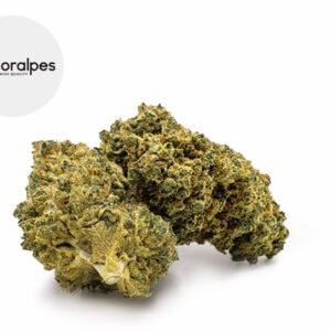 Fleur Lemon Haze CBD Indoor 12% - Floralpes