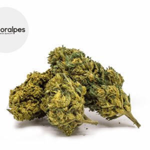 Fleur Super Silver Haze CBD Greenhouse 11% - Floralpes