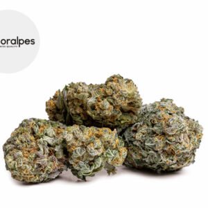 Fleur Gelato CBD Indoor 14% - Floralpes