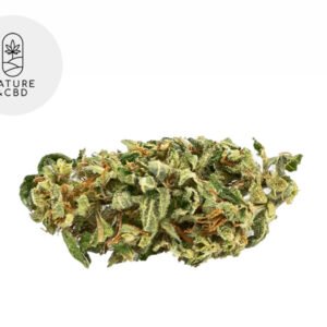 Fleur Amnesia CBD Greenhouse 5% - Nature et CBD