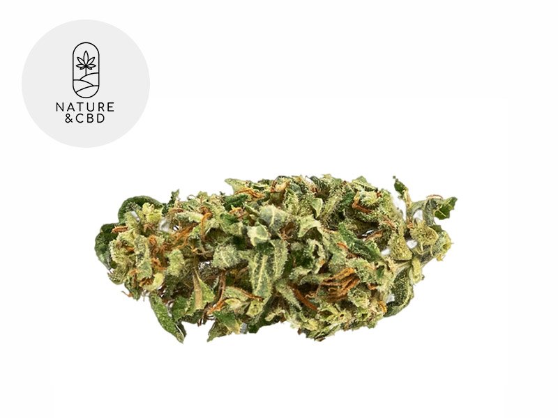 Fleur Amnesia CBD Greenhouse 5% - Nature et CBD