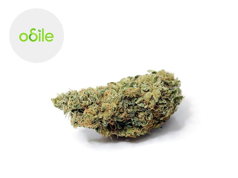 Fleur Silver Bubble CBD Indoor 5% - Odile Green