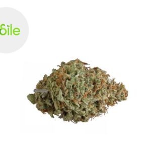 Fleur Cherry Berry CBD Indoor 7.8% - Odile Green
