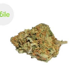 Fleur Super Exotic CBD Indoor 3.5% - Odile Green
