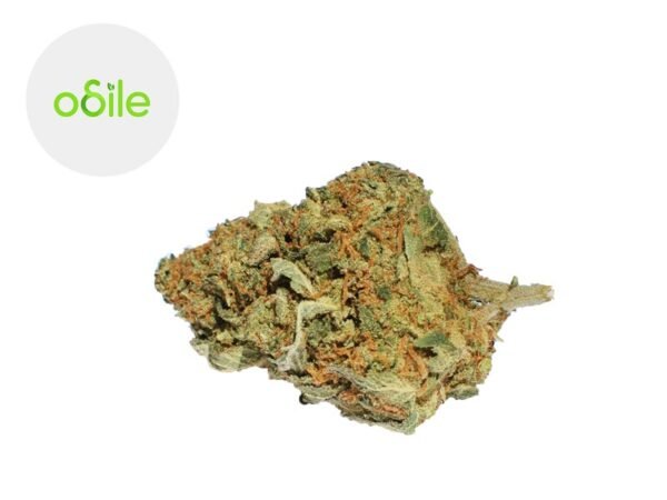 Fleur Super Exotic CBD Indoor 3.5% - Odile Green