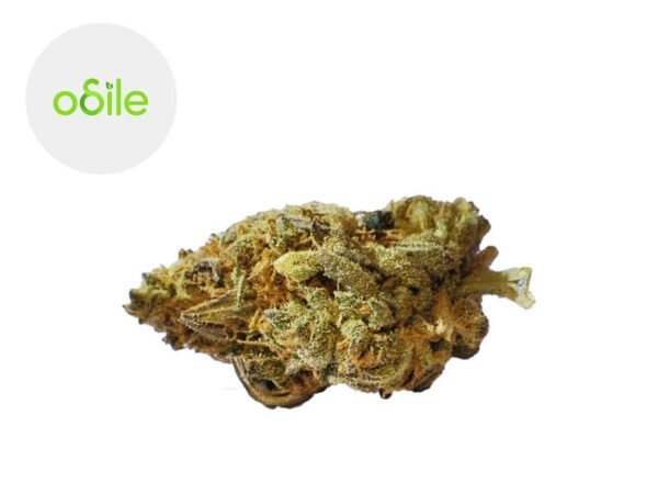 Fleur Gold Kush CBD Indoor 4.3% - Odile Green