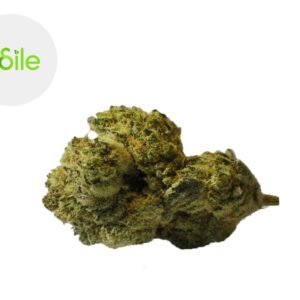 Fleur Titanium Lemon CBD Indoor 3.3% - Odile Green