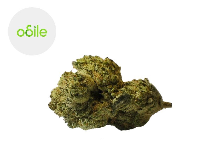 Fleur Titanium Lemon CBD Indoor 3.3% - Odile Green