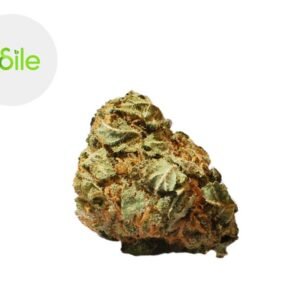 Fleur Orange Sunshine CBD Indoor 3.2% - Odile Green