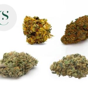 Fleur Pack Indoor CBD Expert Indoor % - Saveurs CBD