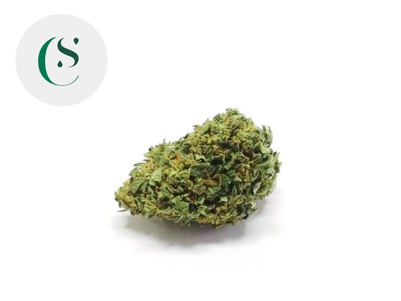 Fleur Cherry CBD Greenhouse 7% - Saveurs CBD