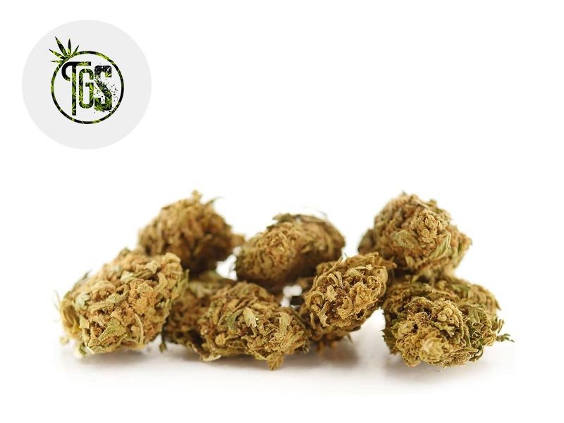 Fleur Cherry Pie CBD Outdoor 5% - The Green Store