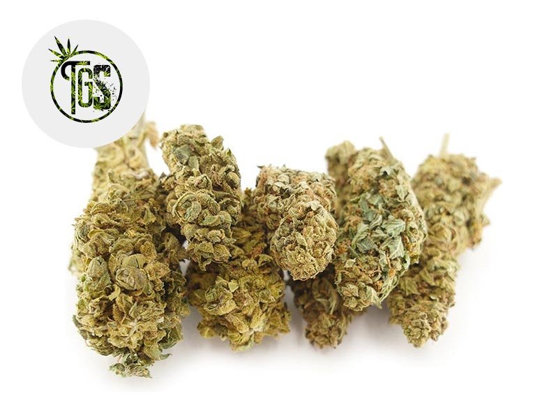 Fleur Fedtonic CBD Indoor 14% - The Green Store