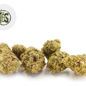 Fleur Watermelon Cookies CBD Indoor 3% - The Green Store