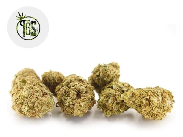 Fleur Watermelon Cookies CBD Indoor 3% - The Green Store