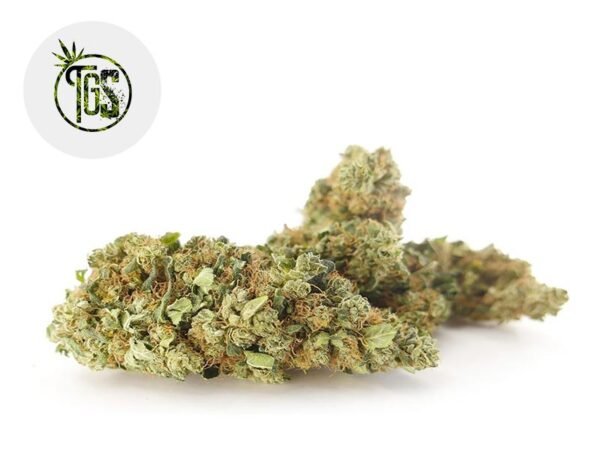 Fleur Orange Bud CBD Indoor 7% - The Green Store