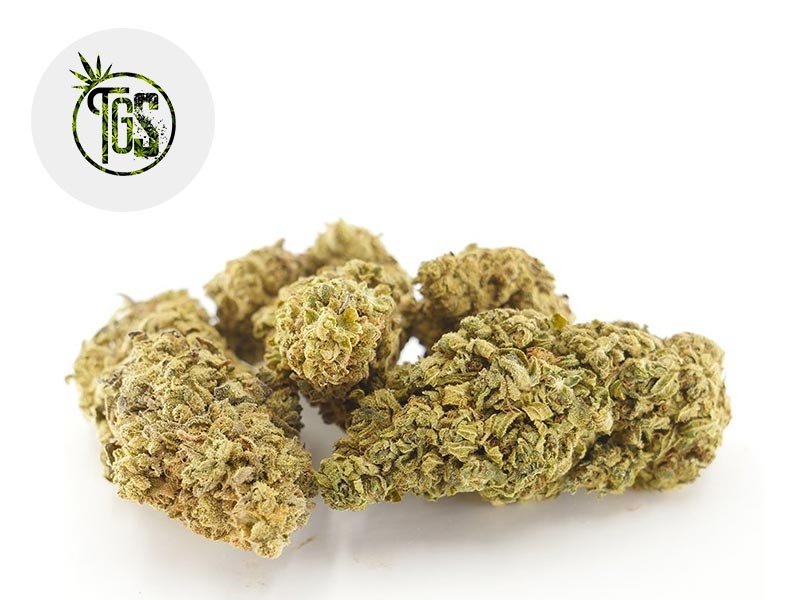 Fleur Vanilla Kush CBD Indoor 5% - The Green Store