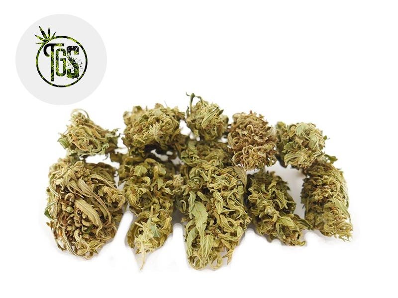 Fleur Green Grape CBD Outdoor 3% - The Green Store