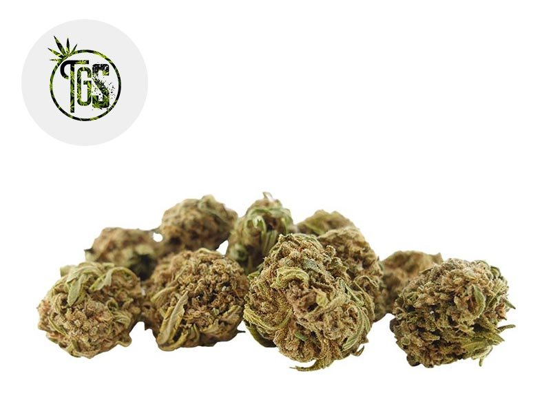 Fleur White Widow CBD Greenhouse 5% - The Green Store