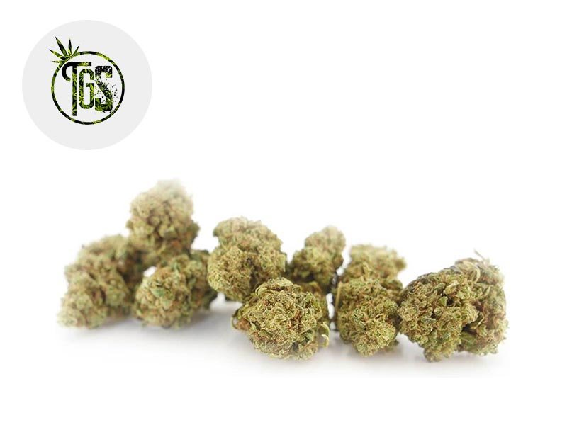 Fleur Blue Dream 2 CBD Greenhouse 6% - The Green Store