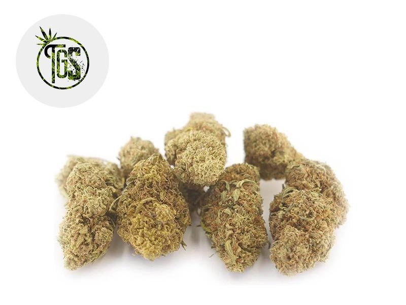 Fleur Bruce Banner CBD Indoor 7% - The Green Store